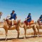Giro in cammello nella Palmeraie di Marrakech