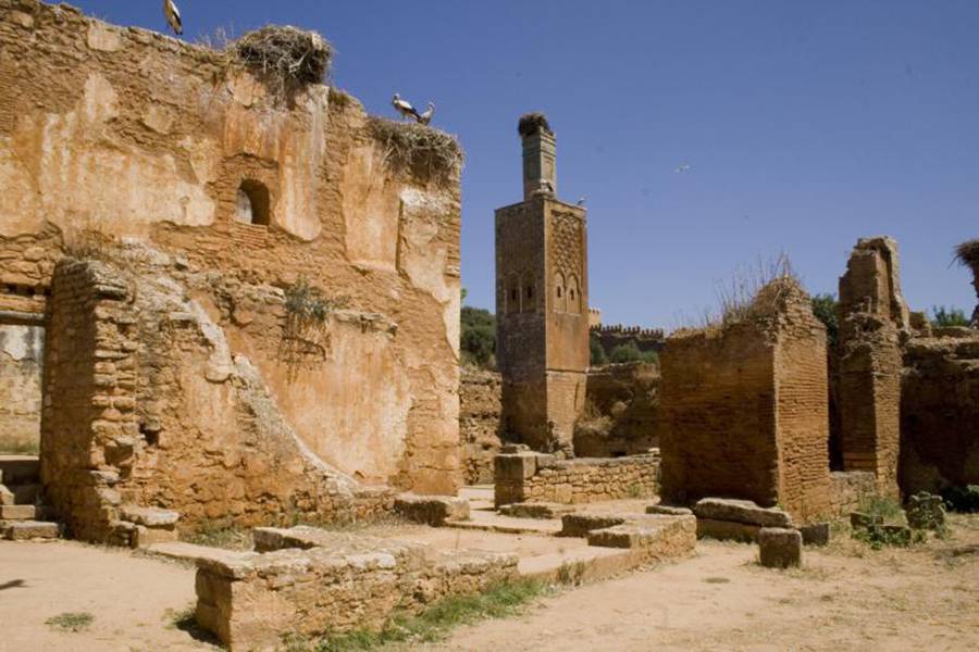Gita giornaliera privata a Rabat da Casablanca