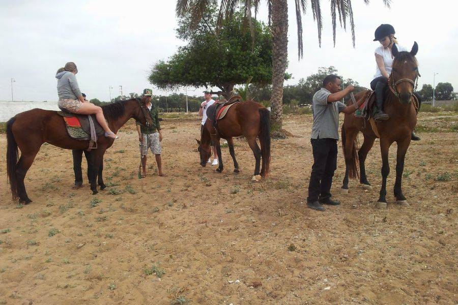 Giro a cavallo a Marrakech Palmeraie