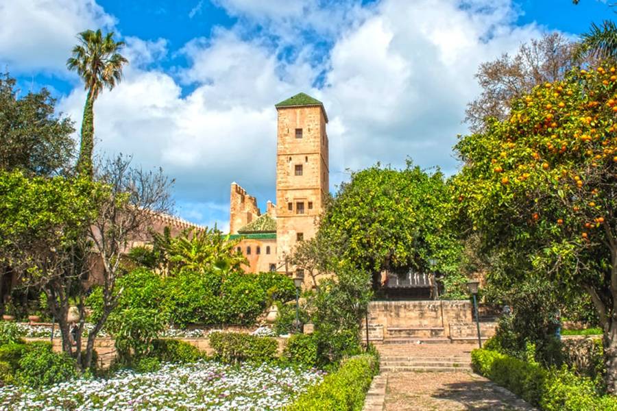 Gita giornaliera privata a Rabat da Casablanca