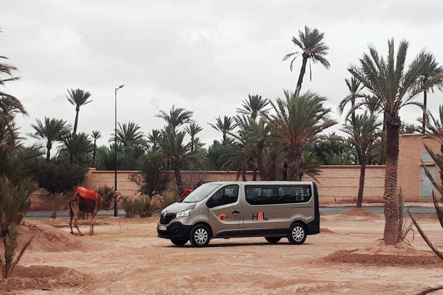 Giro in cammello e quad bike & spa e trattamento Hammam