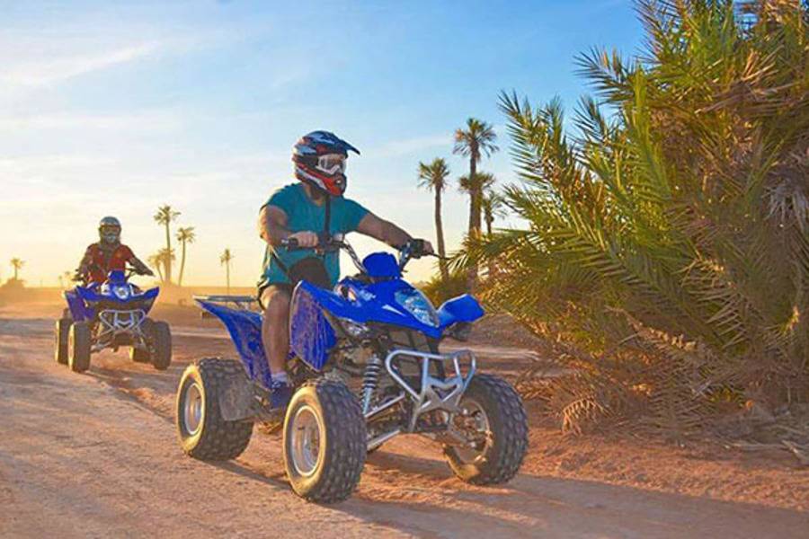 Giro in cammello e quad bike & spa e trattamento Hammam