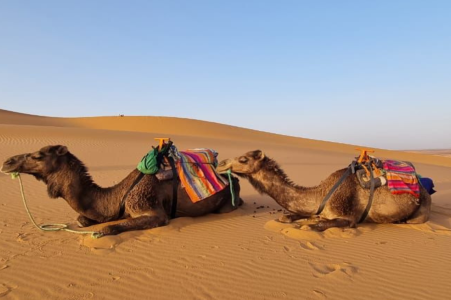 Tour di 3 giorni nel deserto di Merzouga