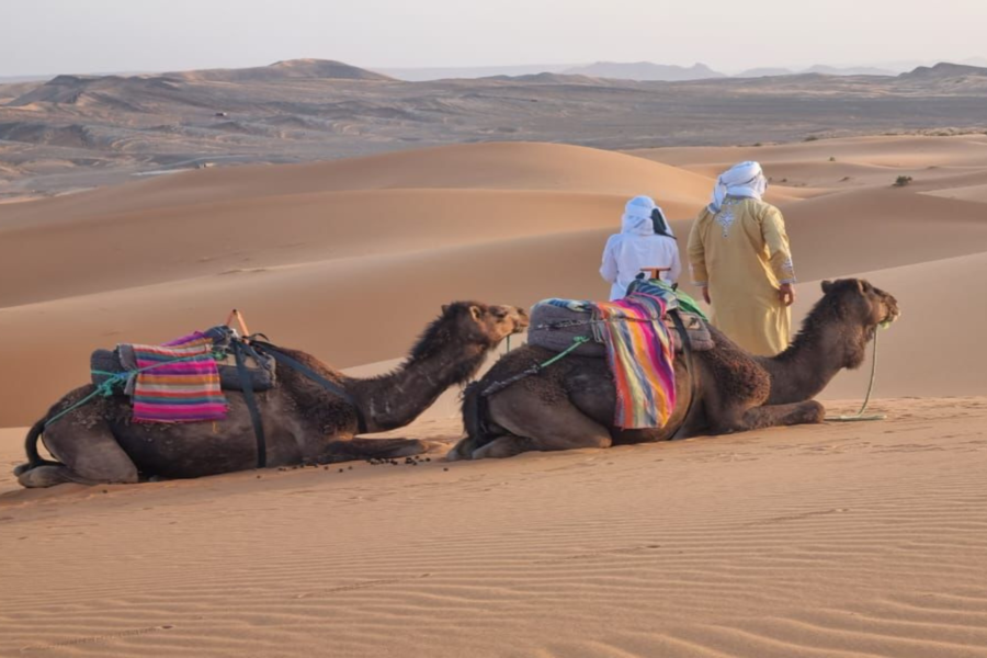 Tour di 3 giorni nel deserto di Merzouga