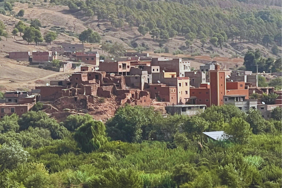 Gita di un giorno nella valle dell'Ourika e nelle montagne dell'Atlante