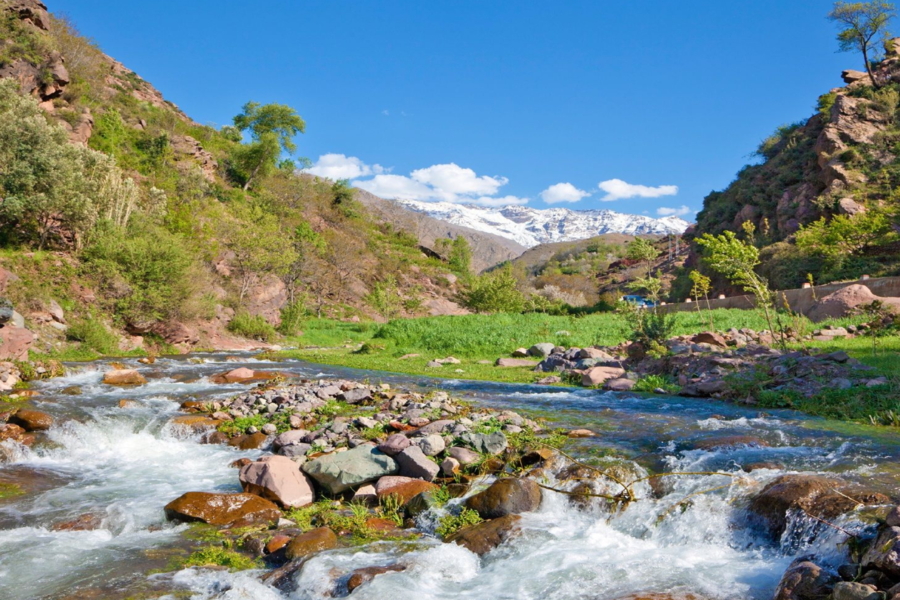 Gita di un giorno nella valle dell'Ourika e nelle montagne dell'Atlante